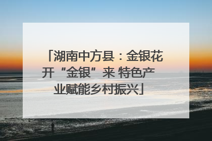 湖南中方县：金银花开“金银”来 特色产业赋能乡村振兴