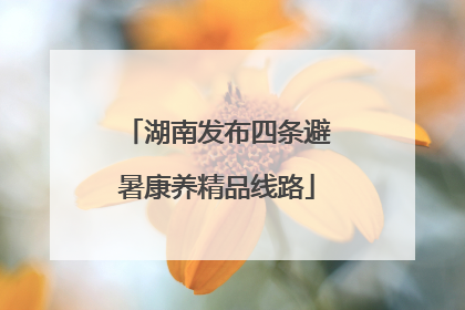 湖南发布四条避暑康养精品线路