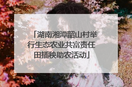 湖南湘潭韶山村举行生态农业共富责任田插秧助农活动