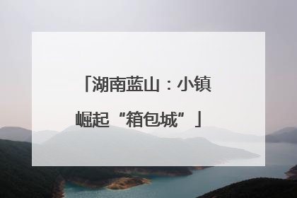 湖南蓝山：小镇崛起“箱包城”