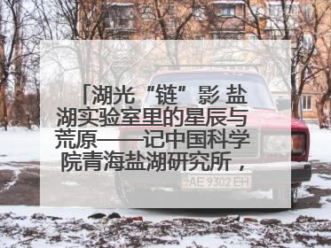 湖光“链”影 盐湖实验室里的星辰与荒原——记中国科学院青海盐湖研究所，盐湖资源化学实验室党总支书记、副主任刘忠