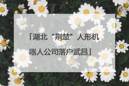 湖北“荆楚”人形机器人公司落户武昌