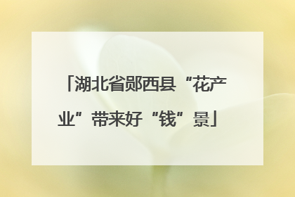 湖北省郧西县“花产业”带来好“钱”景