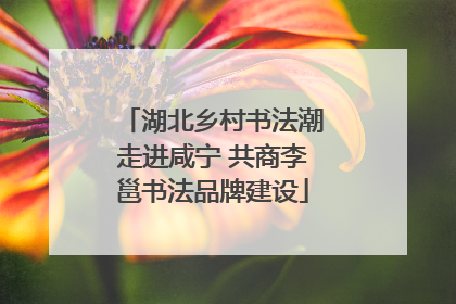 湖北乡村书法潮走进咸宁 共商李邕书法品牌建设