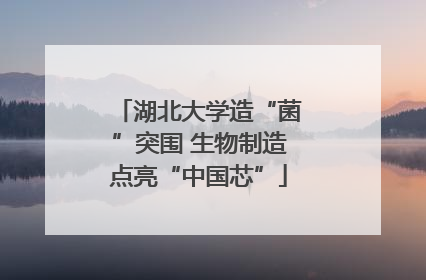 湖北大学造“菌”突围 生物制造点亮“中国芯”