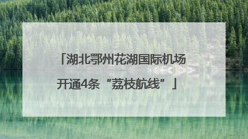 湖北鄂州花湖国际机场开通4条“荔枝航线”