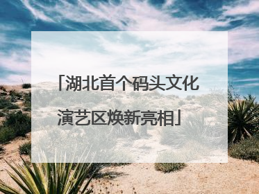 湖北首个码头文化演艺区焕新亮相