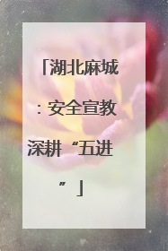 湖北麻城：安全宣教深耕“五进”