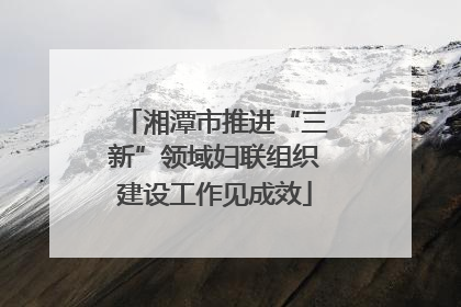 湘潭市推进“三新”领域妇联组织建设工作见成效