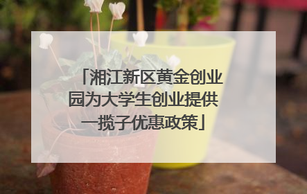 湘江新区黄金创业园为大学生创业提供一揽子优惠政策