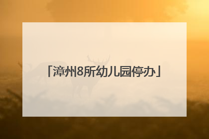 漳州8所幼儿园停办