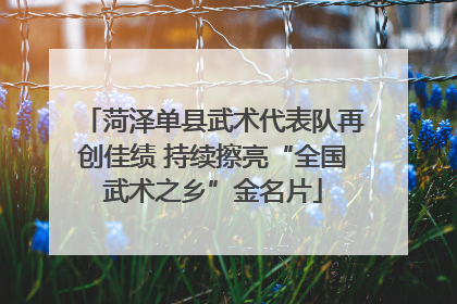 菏泽单县武术代表队再创佳绩 持续擦亮“全国武术之乡”金名片