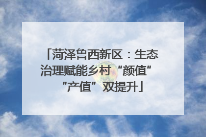 菏泽鲁西新区：生态治理赋能乡村“颜值”“产值”双提升