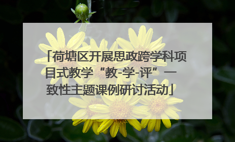 荷塘区开展思政跨学科项目式教学“教-学-评”一致性主题课例研讨活动
