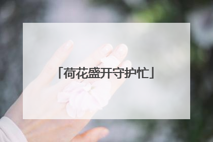 荷花盛开守护忙