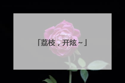 荔枝，开炫～
