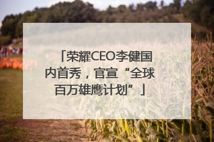 荣耀CEO李健国内首秀，官宣“全球百万雄鹰计划”