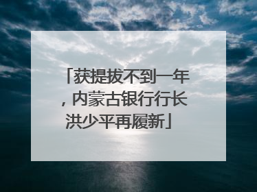 获提拔不到一年，内蒙古银行行长洪少平再履新