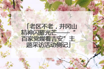 老区不老，井冈山精神闪耀光芒——“百家党媒看吉安”主题采访活动侧记