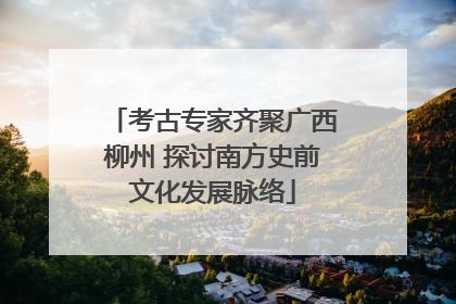 考古专家齐聚广西柳州 探讨南方史前文化发展脉络