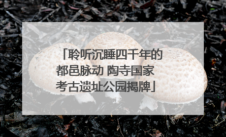 聆听沉睡四千年的都邑脉动 陶寺国家考古遗址公园揭牌