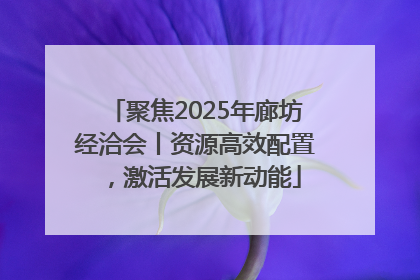 聚焦2025年廊坊经洽会丨资源高效配置，激活发展新动能