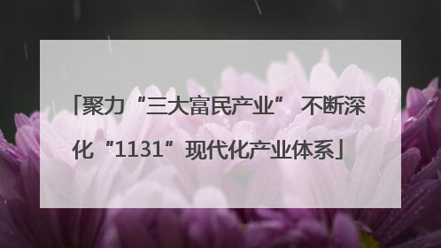 聚力“三大富民产业” 不断深化“1131”现代化产业体系