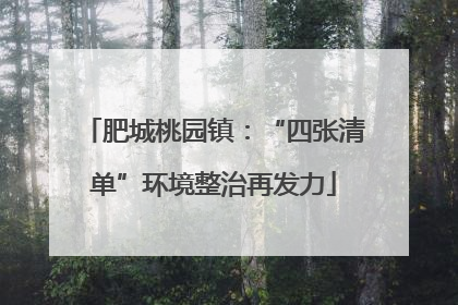 肥城桃园镇：“四张清单”环境整治再发力
