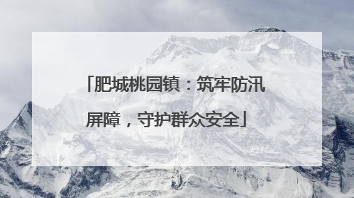 肥城桃园镇：筑牢防汛屏障，守护群众安全
