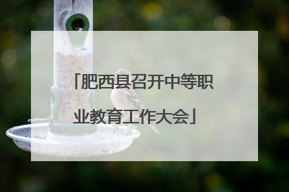 肥西县召开中等职业教育工作大会