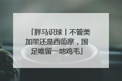 胖马识球丨不管美加墨还是西葡摩，国足唯留一地鸡毛