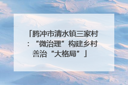 腾冲市清水镇三家村：“微治理”构建乡村善治“大格局”