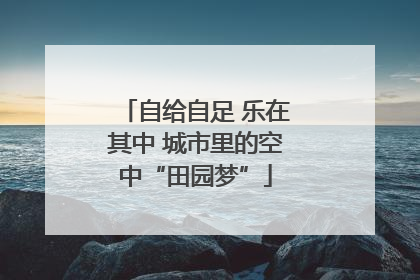 自给自足 乐在其中 城市里的空中“田园梦”