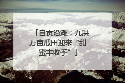 自贡沿滩：九洪万亩瓜田迎来“甜蜜丰收季”