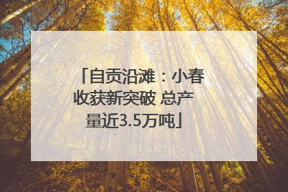 自贡沿滩：小春收获新突破 总产量近3.5万吨