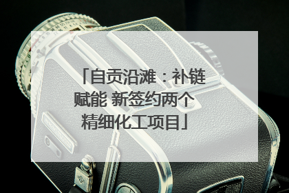 自贡沿滩：补链赋能 新签约两个精细化工项目