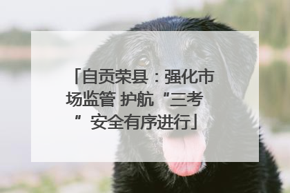 自贡荣县：强化市场监管 护航“三考”安全有序进行