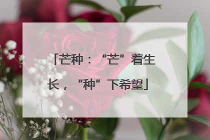芒种：“芒”着生长，“种”下希望
