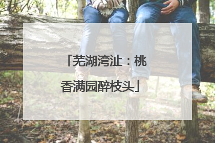 芜湖湾沚：桃香满园醉枝头
