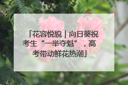 花容悦貌｜向日葵祝考生“一举夺魁”，高考带动鲜花热潮