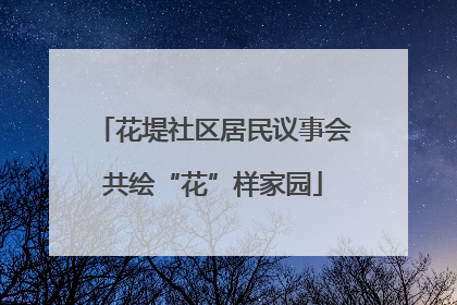 花堤社区居民议事会共绘“花”样家园