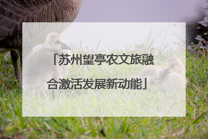 苏州望亭农文旅融合激活发展新动能