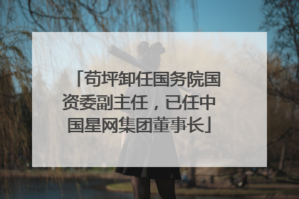 苟坪卸任国务院国资委副主任，已任中国星网集团董事长
