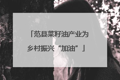范县菜籽油产业为乡村振兴“加油”