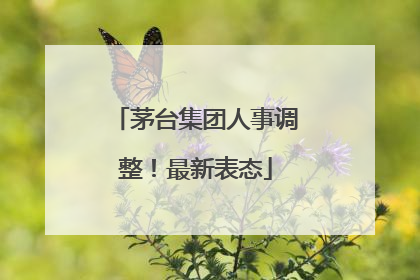 茅台集团人事调整！最新表态
