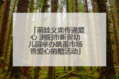萌娃义卖传递爱心 浏阳市新翼幼儿园举办跳蚤市场暨爱心捐赠活动