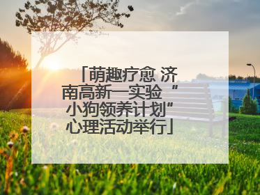 萌趣疗愈 济南高新一实验“小狗领养计划”心理活动举行