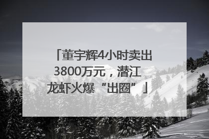 董宇辉4小时卖出3800万元，潜江龙虾火爆“出圈”