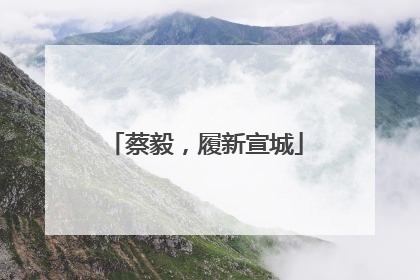 蔡毅，履新宣城