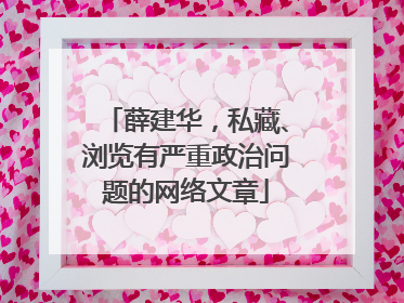 薛建华，私藏、浏览有严重政治问题的网络文章